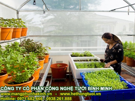 Lưới chắn côn trùng nông nghiệp, nhà lưới politiv israel, lưới chắn côn trùng hà nội nhà lưới mini