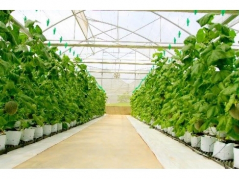 Mua bạt trải nền mua ở đâu, bạt trải nền loại tốt, bạt lót nền giá rẻ, bạt lót nền tại hà nội