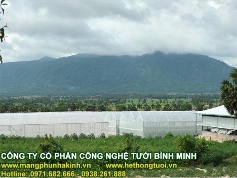 Thiết kế hệ thống kỹ thuật nhà lưới, nhà lưới trồng dưa lưới, nhà lưới nhà kính, nhà lưới giá rẻ