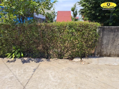 Bán đất khóm Thành Công - tt Hồ Xá - Vĩnh Linh
