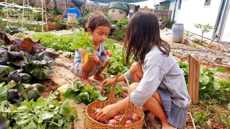 lô đất đẹp cho các nhà đầu tư  nhanh tay 814m2  chỉ 750 triệu