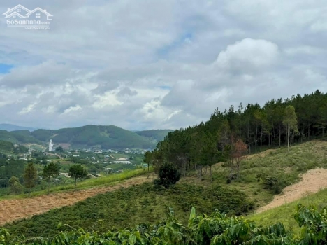 Đất tại Thôn 3 - xã Gia Lâm - Lâm Hà - Lâm Đồng 1000m2 giá 850 triệu