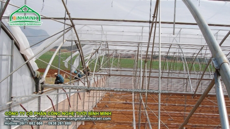 Trồng rau sạch trong nhà kính theo công nghệ của Israel, giá màng nhà kính, giá tấm lợp nhà kính