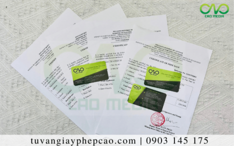 Tư vấn cho bánh mì khoai tây xin giấy lưu hành tự do