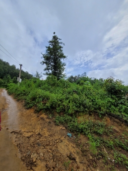 Bán đất Phìn Hồ, khu phát triển đô thị nghỉ dưỡng Y Tý-Sapa 2
