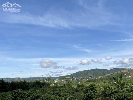 1200m2 (20x60m) mặt tiền betong 4m giá 950 triệu cách KDL Thác Voi- Nam Ban chỉ 10 phút.