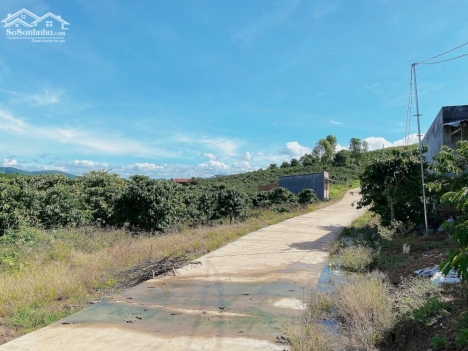 1200m2 (20x60m) mặt tiền betong 4m giá 950 triệu cách KDL Thác Voi- Nam Ban chỉ 10 phút.