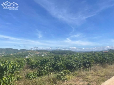 Cần bán lô đất 1195m2 tại Thôn 3 - xã Gia Lâm - huyện Lâm Hà - tỉnh Lâm Đồng giá 950 triệu