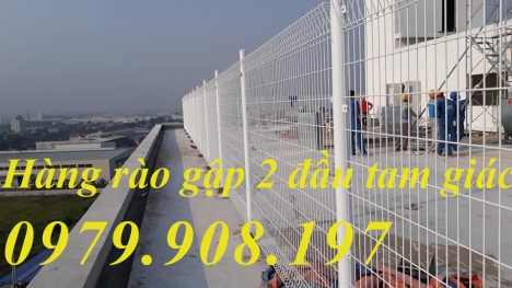 Hàng rào D4 a50x200 cột trái đào