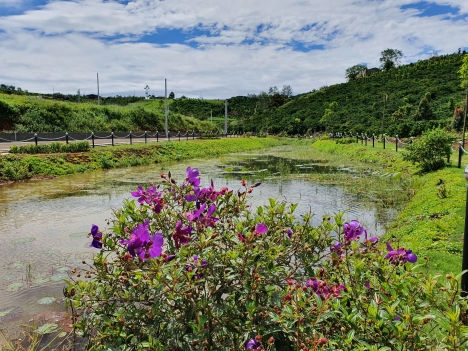 Phố Hoa Hillside - Khi vùng đất yên bình hóa thành khu nghỉ dưỡng chất lượng 5 sao