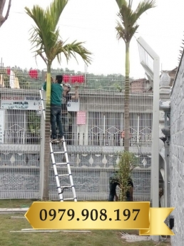 Hàng rào D4 a50x200 cột trái đào