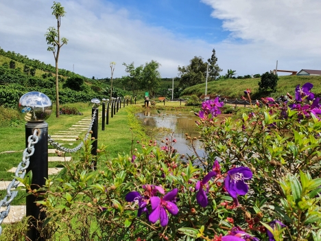 Phố Hoa Hillside - Khi vùng đất yên bình hóa thành khu nghỉ dưỡng chất lượng 5 sao
