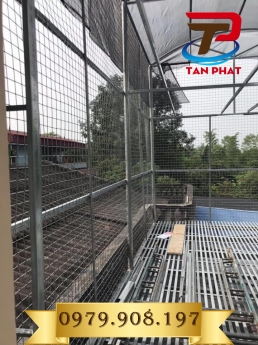 Lưới thép hàn D3 a(50x50) có sẵn giá tốt