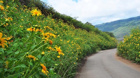 Đất Bảo Lộc view thác tuyệt đẹp 556m2 giá 960 triệu