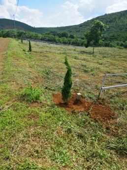 Đất Bảo Lộc view thác tuyệt đẹp 556m2 giá 960 triệu