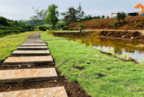 Đất Bảo Lộc cực đẹp giá đầu tư cực tốt 192m2 giá 7tr/m2