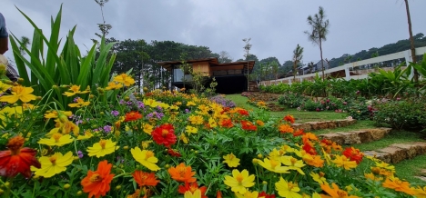 Đất Bảo Lộc view thác tuyệt đẹp 556m2 giá 960 triệu