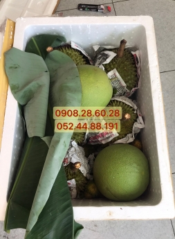 Gửi hàng an toàn và tiết kiệm trong mùa dịch cùng HND Express