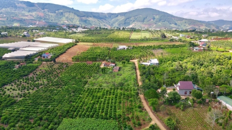 Bán đất nền làm trang trại, khu nghỉ dưỡng ven ngoại ô Đà Lạt, Lâm Đồng