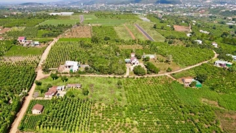 Bán đất nền làm trang trại, khu nghỉ dưỡng ven ngoại ô Đà Lạt, Lâm Đồng