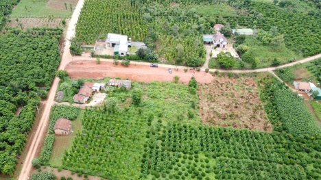 Bán đất nền làm trang trại, khu nghỉ dưỡng ven ngoại ô Đà Lạt, Lâm Đồng