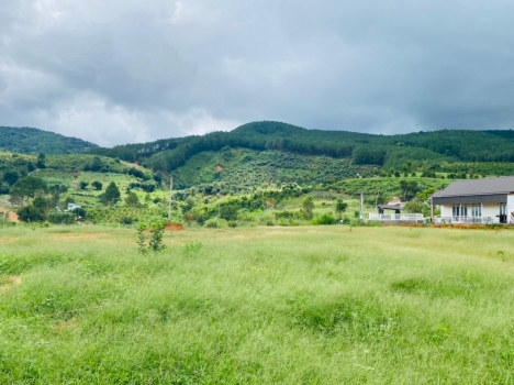 Còn 2 lô đất đẹp view Xã Đông Thanh