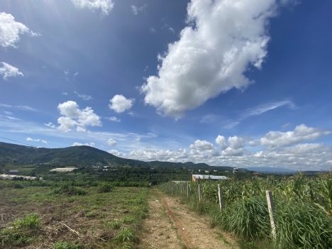 Đất nền view tượng phật, Xã Đông Thanh, Lâm Hà, Lâm Đồng
