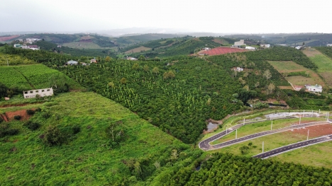 Lựa chọn hàng đầu cho khách hàng đầu tư và nghỉ dưỡng