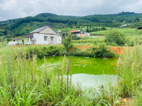 Còn 2 lô đất đẹp view Xã Đông Thanh