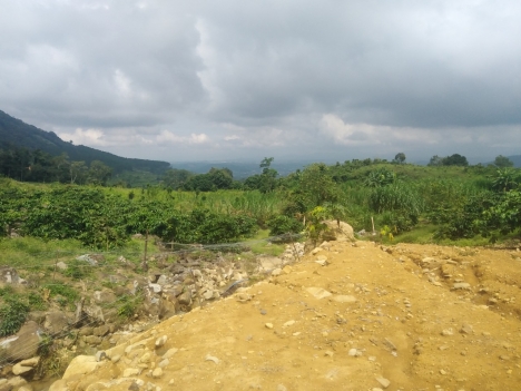 Đất nền nông nghiệp, view toàn Nam Ban.