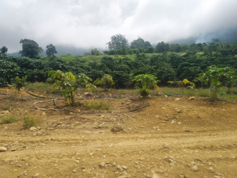 Đất nền nông nghiệp, view toàn Nam Ban.