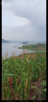 Đất nghỉ dưỡng, homestay, farmstay