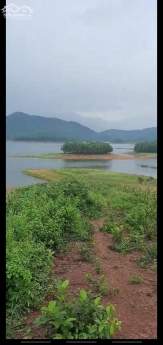 Đất nghỉ dưỡng, homestay, farmstay