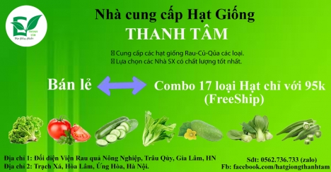 Combo 17 loại hạt giống chỉ 95k - freeship