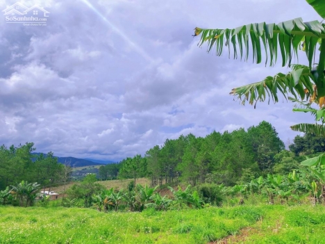 nghỉ dưỡng ven dalat với tài chính từ 580tr