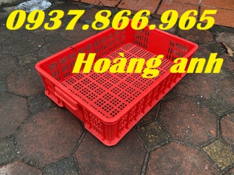 Sóng nhựa rỗng đựng nông sản chế biến, sọt nhựa đựng rau củ trong siêu thị, khay nhựa dùng trong cửa