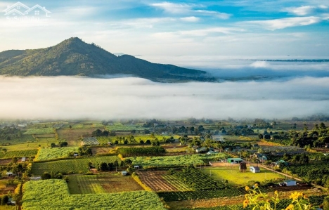 lô đất đẹp cho các nhà đầu tư  nhanh tay  tại đạ ròn đơn dương