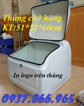 Sản xuất thùng chở hàng nhựa composite tại miền bắc, thùng giao cơm văn phòng có in logo, thùng giao