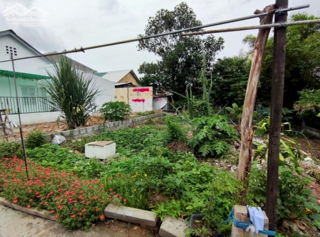 BÁN ĐẤT HƯƠNG THỦY DƯƠNG THIỆU TƯỚC 61M CẠNH BẾN XE PHÍA NAM TRUNG TÂM THÀNH PHỐ