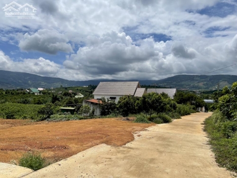 bán nhanh vài lô đất nghỉ dưỡng tại tt nam ban Đà Lạt