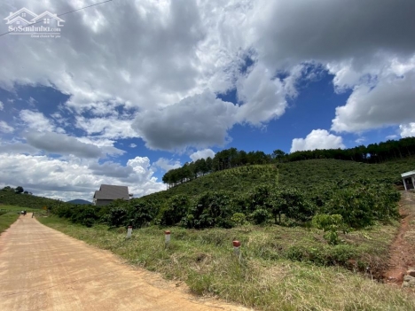 Đất nghỉ dưỡng 12m mặt tiền betong 7m tại TT. Đinh Văn- Lâm Hà giá 639 triệu.