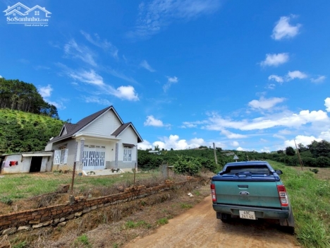 Đất nghỉ dưỡng 12m mặt tiền betong 7m tại TT. Đinh Văn- Lâm Hà giá 639 triệu.