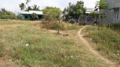 Đất Giá Rẻ- Tiến Lợi-Phan Thiết-Bình Thuận-Gần Vòng xoay Suối Cát-DT 100m2TC