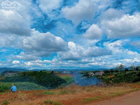 Secondhome vùng ven Đà Lạt view đồi thông 12x44m giá 639 triệu.