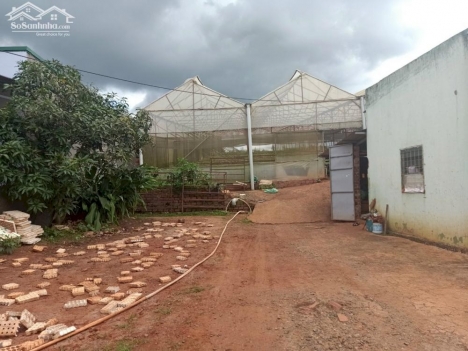 bán 2,2 sào đất sẵn nhà có thổ cư