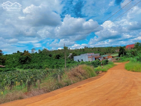 Secondhome vùng ven Đà Lạt view đồi thông 12x44m giá 639 triệu.