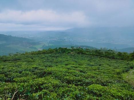 Đất mặt tiền đường nhựa 8m diện tích 100m2 giá 850 triệu