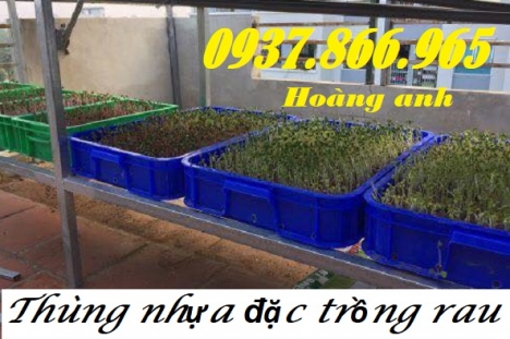 Thùng nhựa đặc trồng rau cao 10cm. thùng nhựa có nắp, khay nhựa, sóng nhựa, sọt nhựa công nghiệp