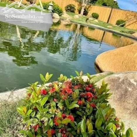 CHỈ CÒN 5 LÔ  - Thiên đường nghỉ dưỡng Phố hoa Hillside tuyệt đẹp