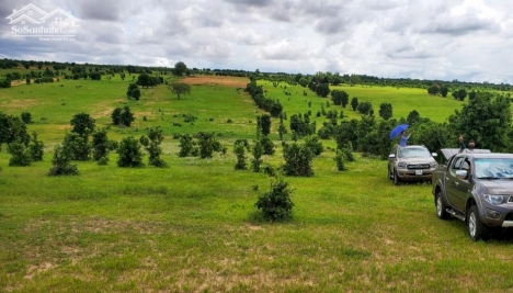 Chỉ 490tr có ngay 4144m2 đất nông nghiệp bình tân gần kdl sinh thái safari 3300ha ưu đãi chỉ tháng 9